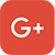 Google + Icon